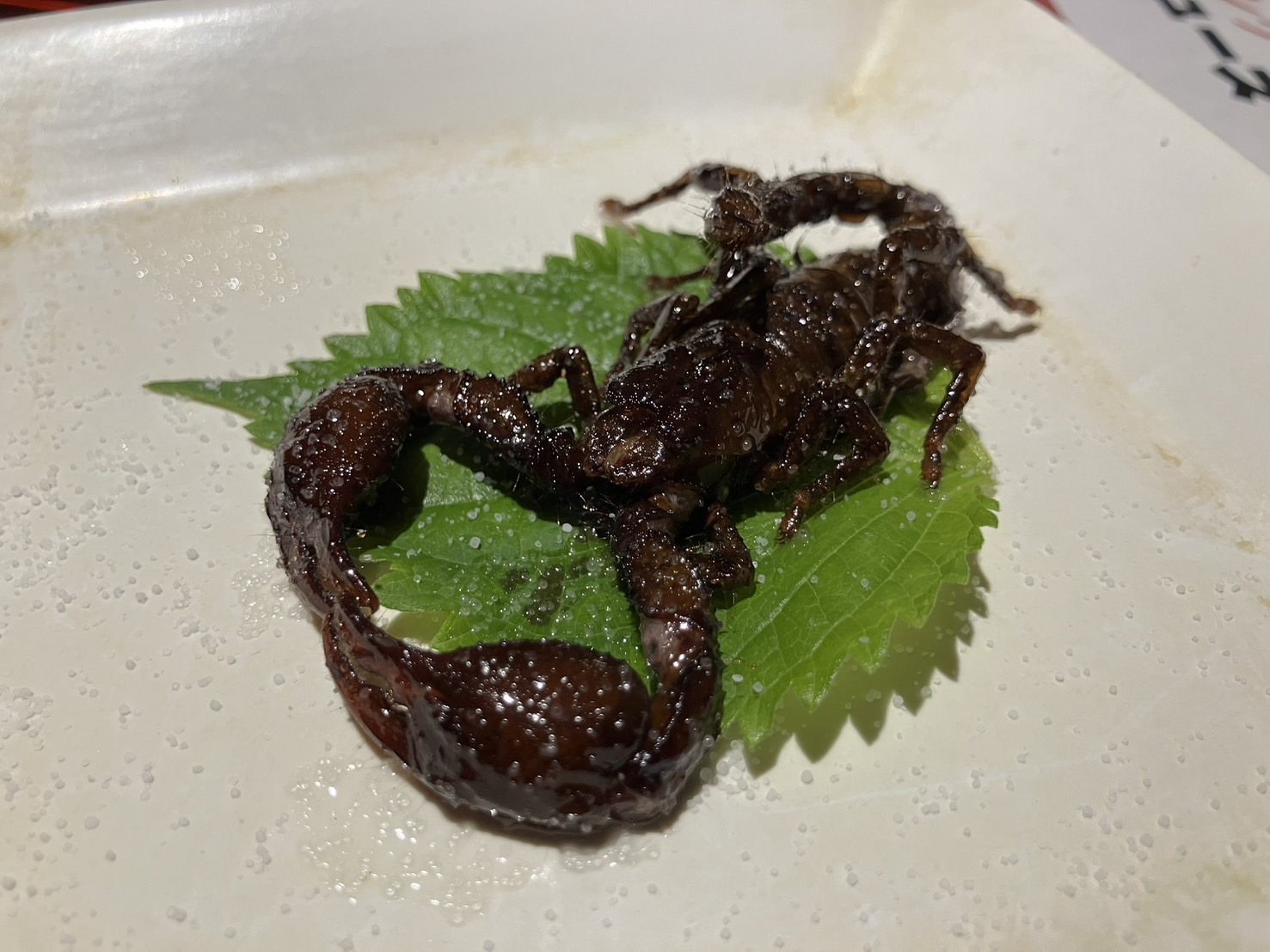 不思議なジビエ料理店「珍獣屋」