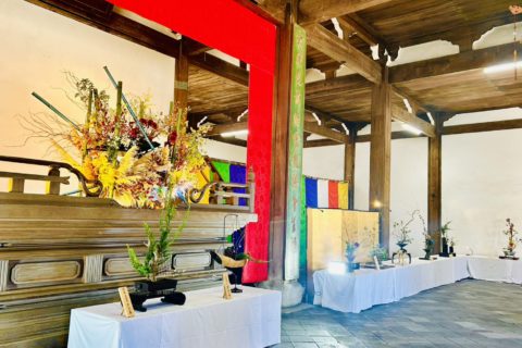 萬福寺での華道遠州いけばな展