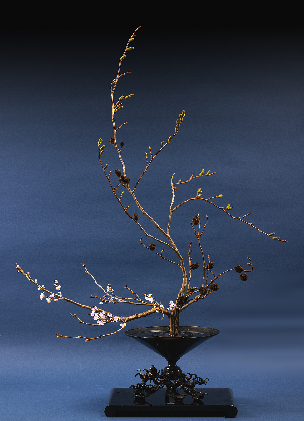 ヤシャブシと慶応桜の二種生け